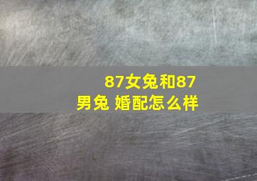 87女兔和87男兔 婚配怎么样